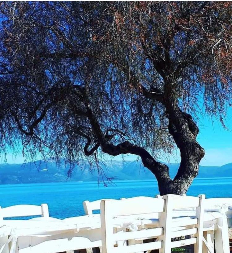 فيلا Eratous Seaside House Agii Dimitrios ke Panteleimon المظهر الخارجي الصورة