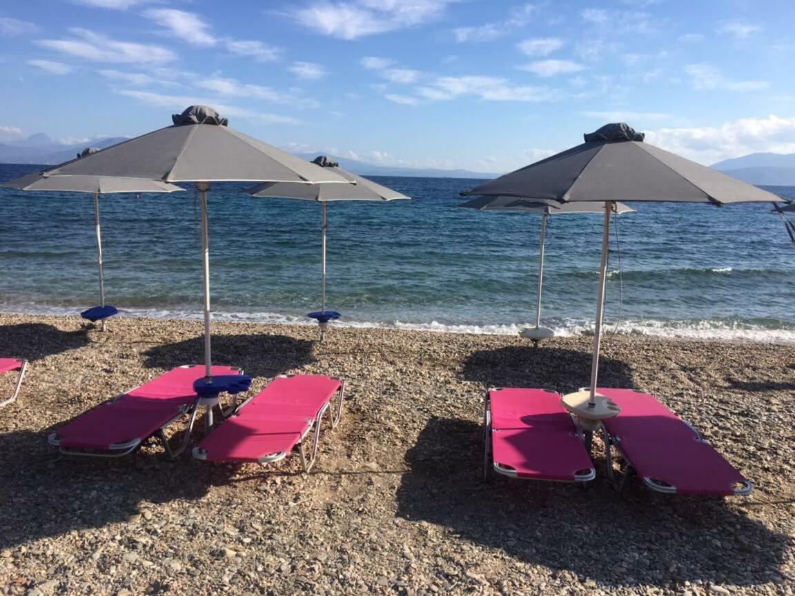 فيلا Eratous Seaside House Agii Dimitrios ke Panteleimon المظهر الخارجي الصورة