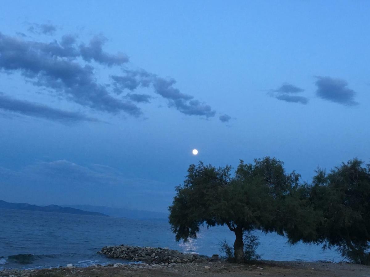 فيلا Eratous Seaside House Agii Dimitrios ke Panteleimon المظهر الخارجي الصورة